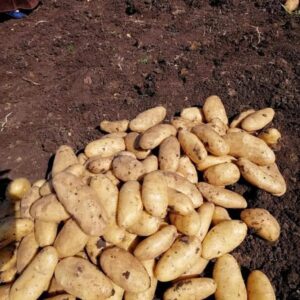 057025bf-ba8b-45c6-8daf-512caf62f6b9