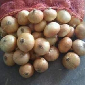 143e8975-276c-4f30-9b8e-51aa5a845f14