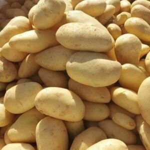 174ab646-19d0-407f-af1f-a6d7a0268d60