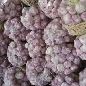 19716e18-f6b1-4592-996f-1f6f12ecae4c