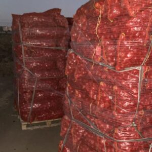 1b10e40c-e094-4648-9dee-ef3bdadfeece