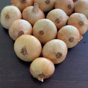 446eb7f2-ea9d-4309-ae37-b1cdc9cc68a4