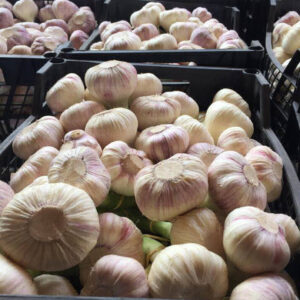 55474753-323124875226032-5680134892235522048-n-720x960