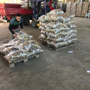 655e2976-1f52-407f-a6a1-ea56b2be0c36