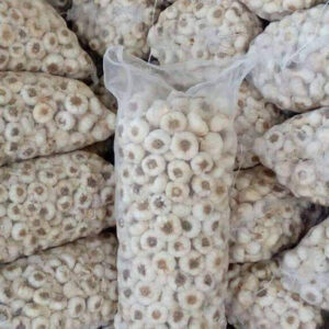 6773dae7-4638-4fb0-9a7b-4438b0c63662-576x960