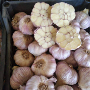 6b3b0f62-e561-42a4-bf6e-df2ff0346a3c-960x1280