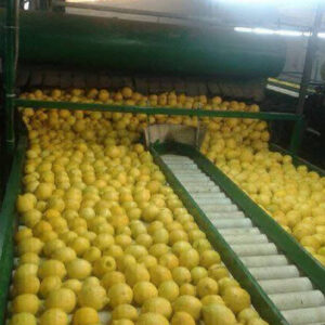 70223814-3065895670103734-1886063518566842368-n-417x556