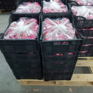 70473557-433543510846266-841898673318133760-n-1024x768