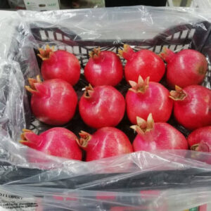 70493502-398335144210379-8079009749233827840-n-1024x768