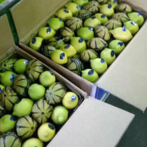 70741526-430698640874938-2278571792245194752-n-1-576x1024