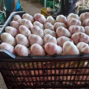 739c8dee-42a3-43da-8c92-11800593889a