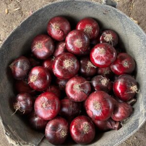 81f55917-1b29-4a3b-bd16-a981aea4e19a