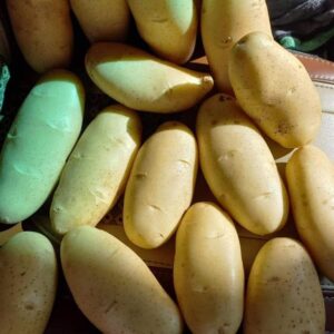 8f8ec85f-8587-416f-a987-58f70c0f90ba