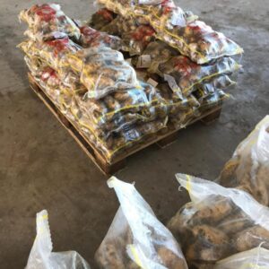 9c9b9374-e8ee-4021-8600-ea7ce743dfd1