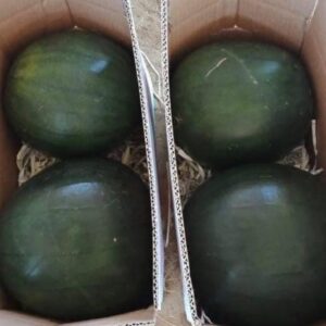 WhatsApp Image 2022-06-21 at 3.17.55 AM