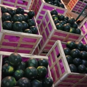 WhatsApp Image 2022-06-21 at 3.17.56 AM