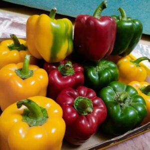 WhatsApp Image 2022-06-21 at 3.52.21 AM (2)