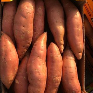 WhatsApp Image 2022-06-21 at 3.52.21 AM