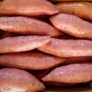 WhatsApp Image 2022-06-21 at 3.52.22 AM