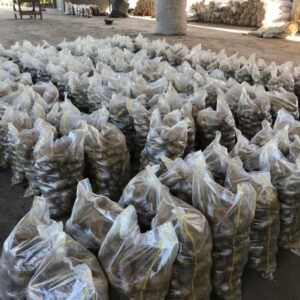 a8428341-40f7-41ba-8fdc-2dc0d0d38892