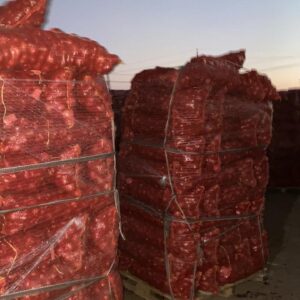 bd71ced6-75a1-414e-88fe-f05ff0afda04