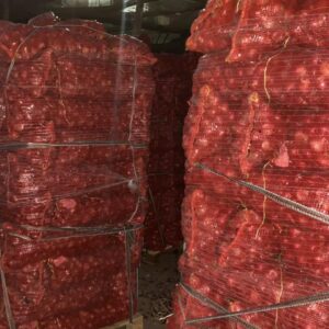 bea751b9-4da9-44b1-9dda-cddd39bc8e96