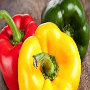 c872c3a6-3a63-410b-b6b0-8f3fc5ef86fa