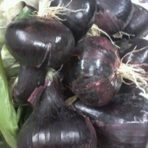 d5bd91e7-4907-420d-9dfc-ef70bc612597