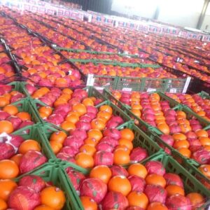 dfc88082-f2a0-4326-82b0-4893dfbd5ac0