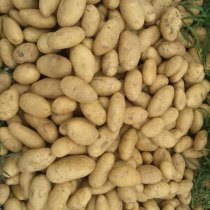 e4b78c56-9be1-4f2a-86f7-63297986dbde