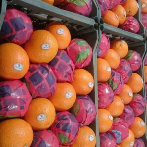 f01c5779-3b80-411f-993b-d5754aebb7d4