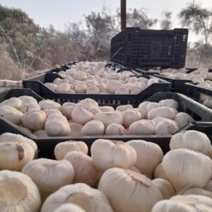 ffb5710e-e917-43a7-bbaa-38878a0f0aff