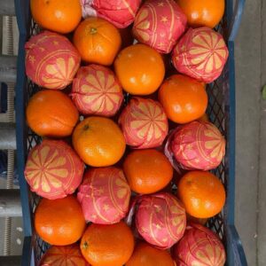 img-20211109-wa0059-768x1024