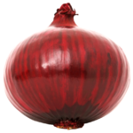 red-onion-transparent-png