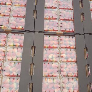 whatsapp-image-2019-08-28-at-10.29.40-am-720x1280-720x1280