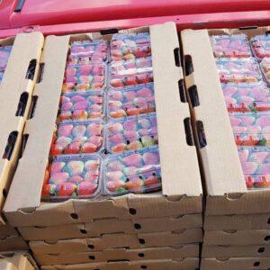 whatsapp-image-2019-08-28-at-10.29.42-am-1280x720