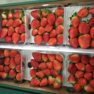 whatsapp-image-2019-08-28-at-10.29.49-am-1280x960